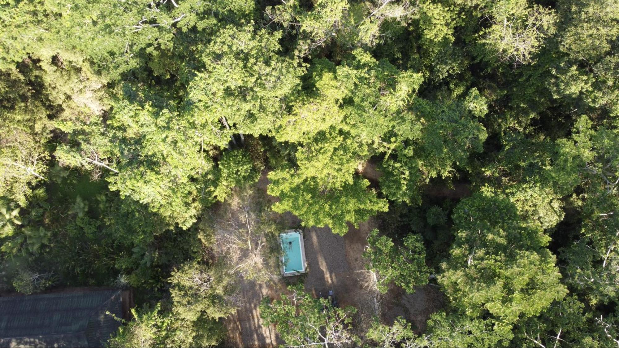 Casa Amazonas Villa Puerto Maldonado Eksteriør billede